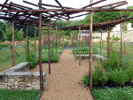Pergolas du jardin antique